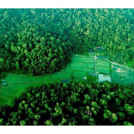 Vayal Veedu - Luxury Farm Villas By The Woods Muthanga 外观 照片