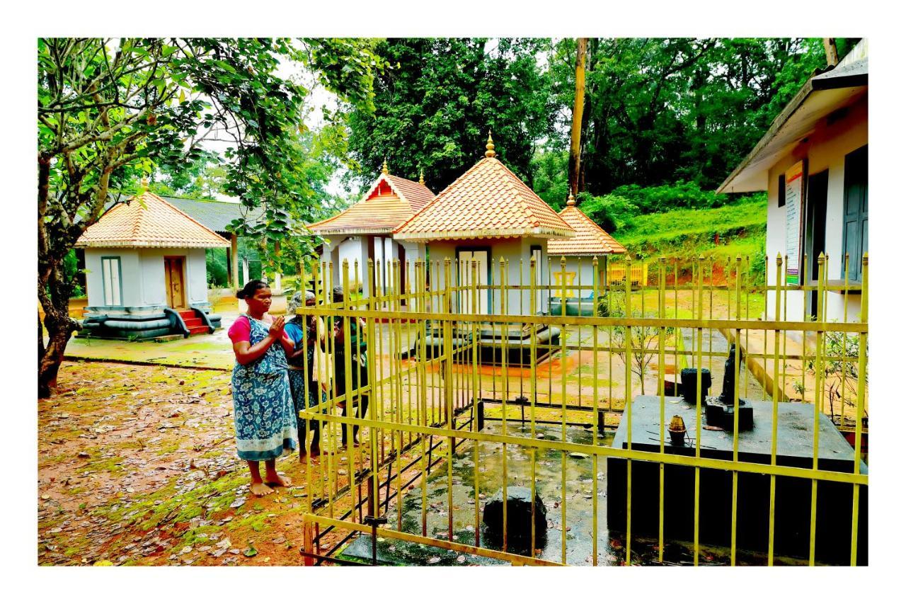 Vayal Veedu - Luxury Farm Villas By The Woods Muthanga 外观 照片