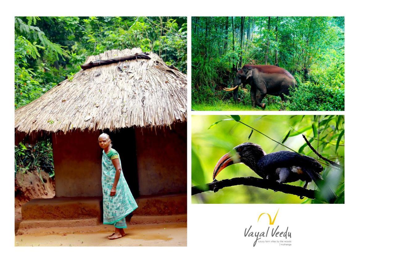 Vayal Veedu - Luxury Farm Villas By The Woods Muthanga 外观 照片