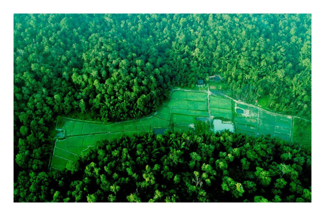 Vayal Veedu - Luxury Farm Villas By The Woods Muthanga 外观 照片