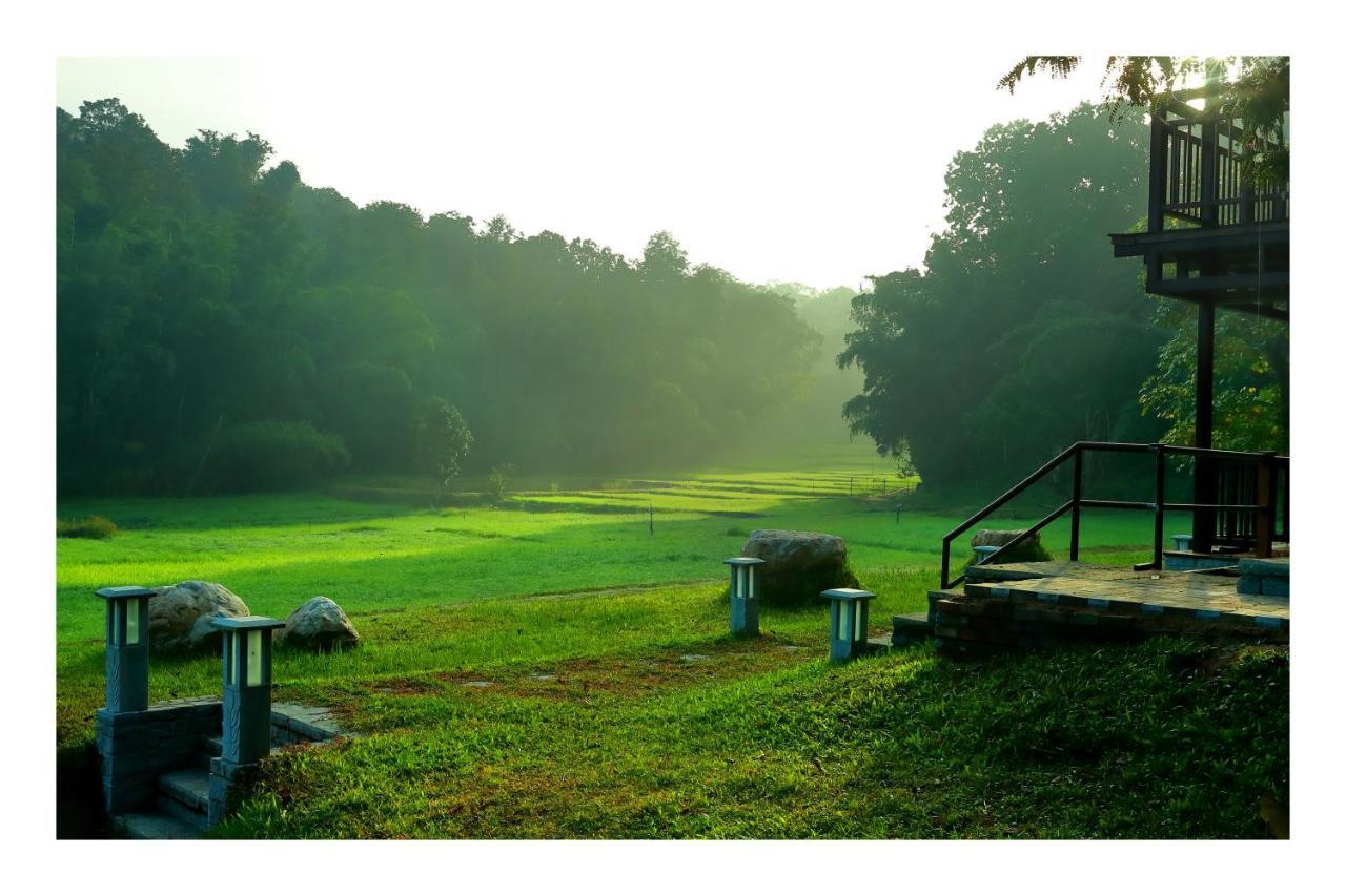 Vayal Veedu - Luxury Farm Villas By The Woods Muthanga 外观 照片