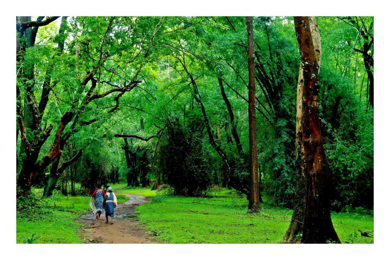 Vayal Veedu - Luxury Farm Villas By The Woods Muthanga 外观 照片